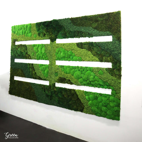 Mixed Moss Wall  Green Wall – Green Wallscapes