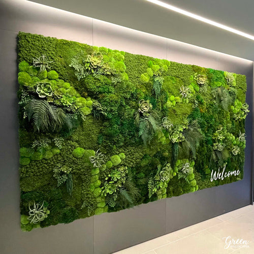 Preserved Moss Wall Art  Green Wall Art – Green Wallscapes