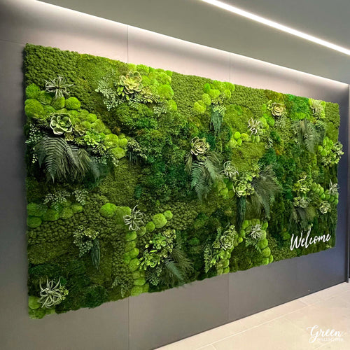 Preserved natural moss wall