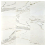 Calacatta Gold Marble 18x18 Polished Marble Tile - TILE AND MOSAIC DEPOT