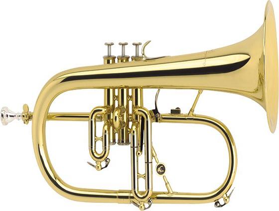 courtois flugelhorn case