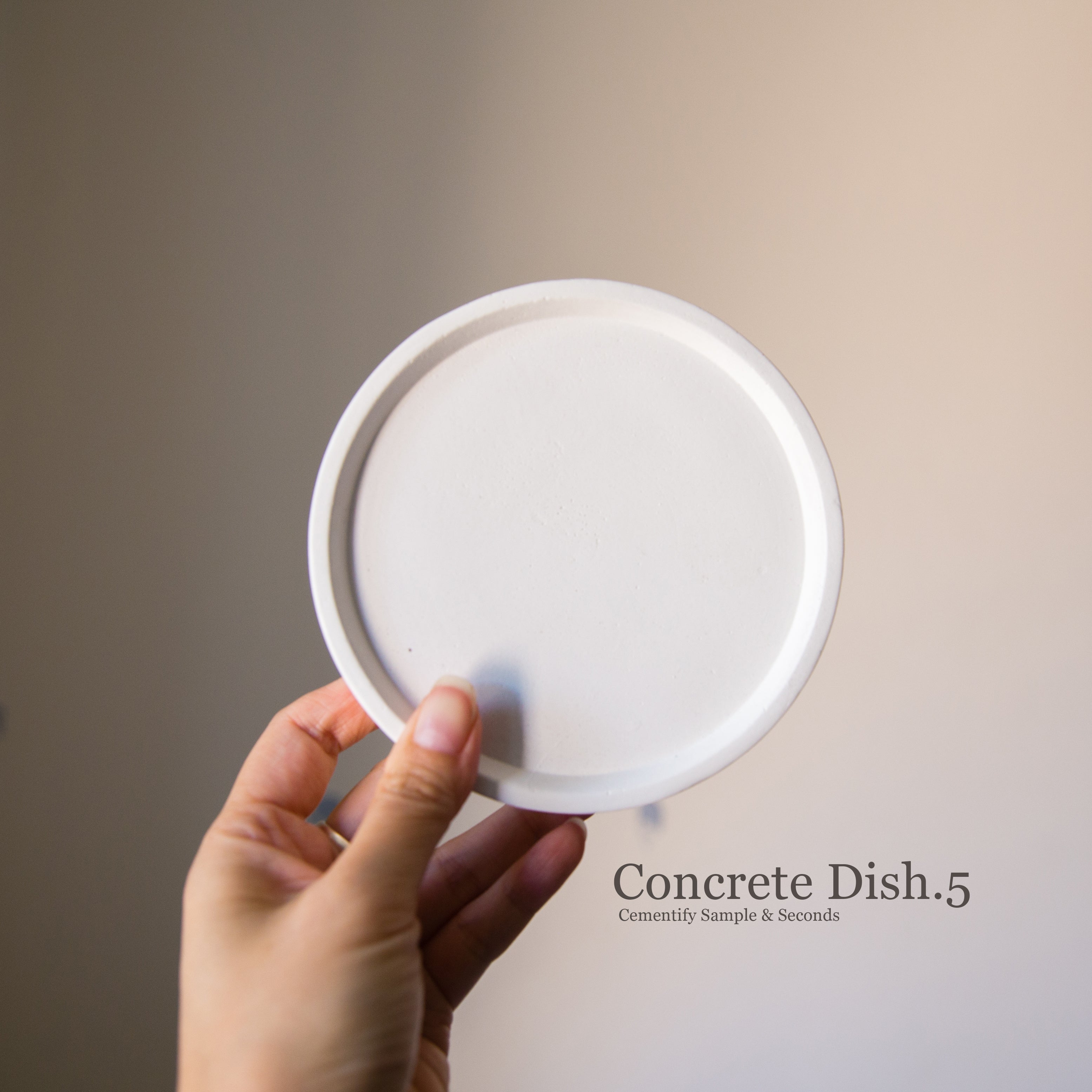 Concrete Dish - *Sample & Seconds*
