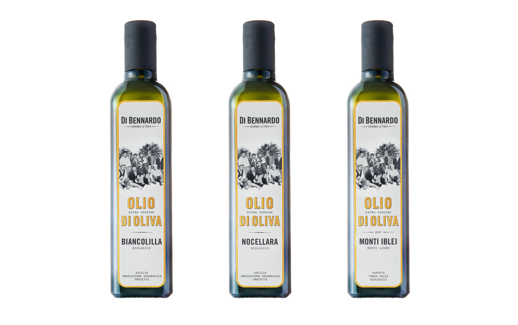 Italienisches Olivenöl Biancolilla Nocellara Monte Iblei Bio IGP DOP von Di Bennardo