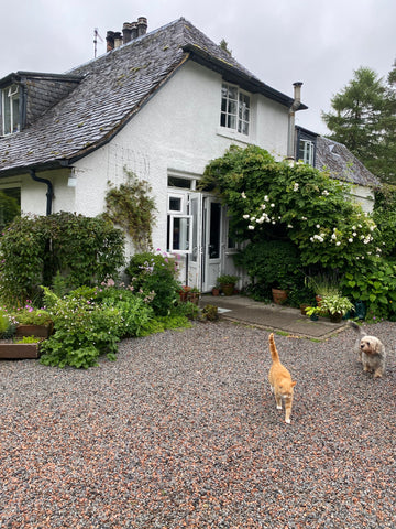 Exterior view of Fiona MacRae's home and studio with dog and cat