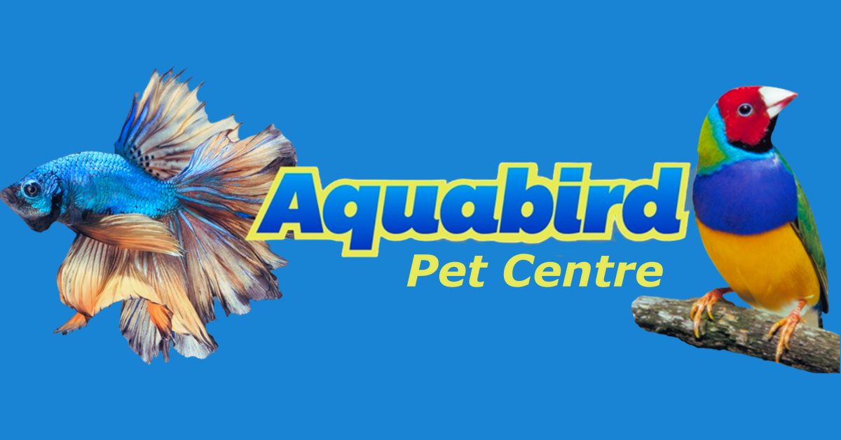 Aquabird Toowoomba