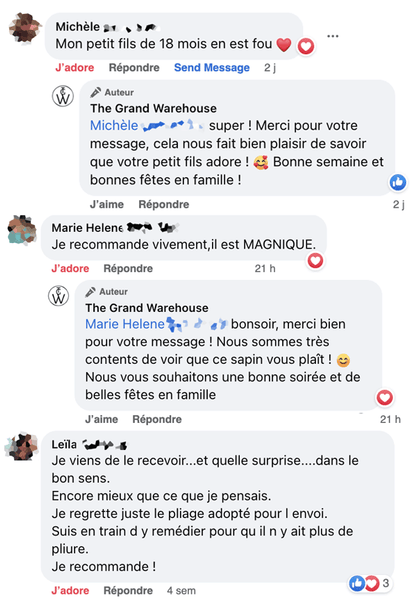 Commentaires Facebook Sapin en Feutrine