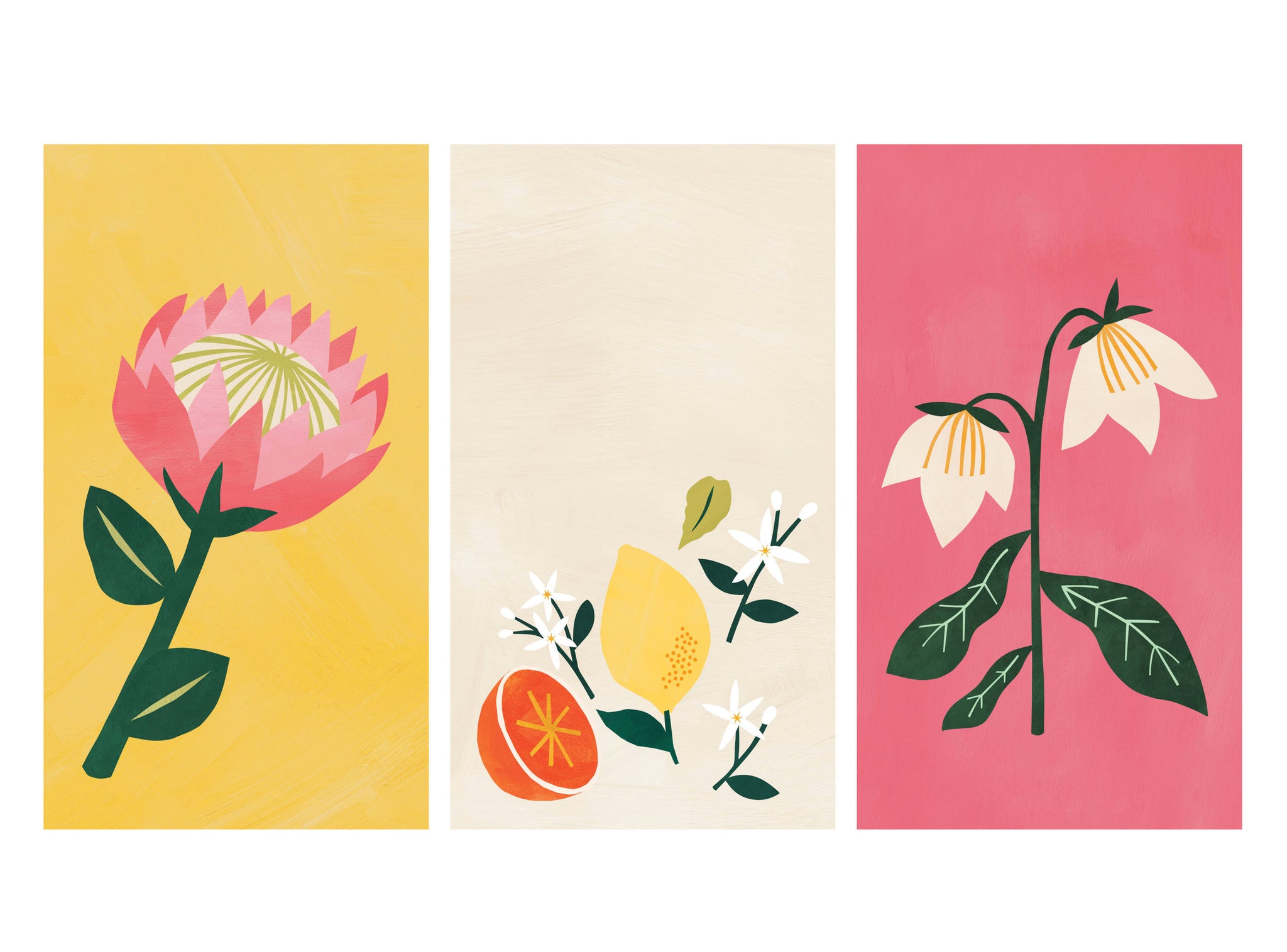 Botanical themed illustrated phone wallpapers | Raspberry Blossom