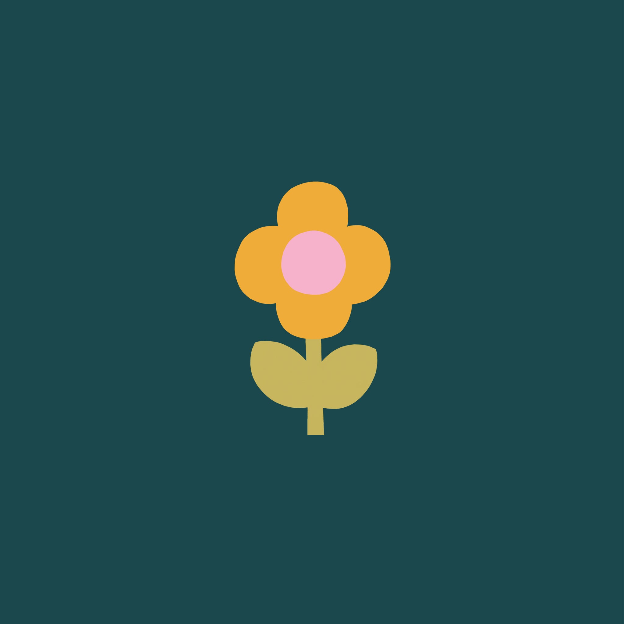Single daisy free HD tablet wallpaper download | Raspberry Blossom