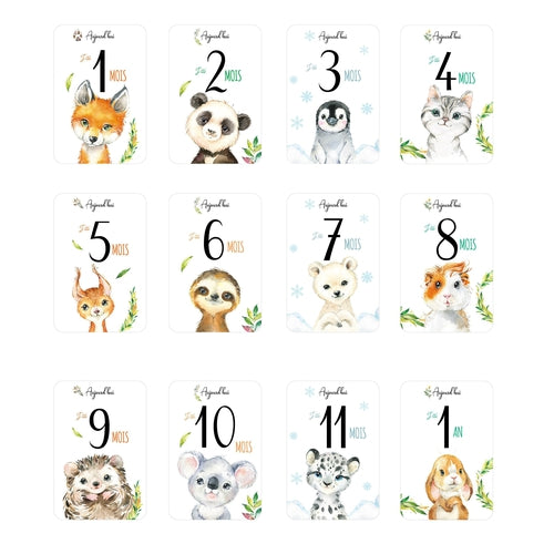 Cadeau De Naissance 12 Cartes Etapes Bebe Collection Animaux Omade