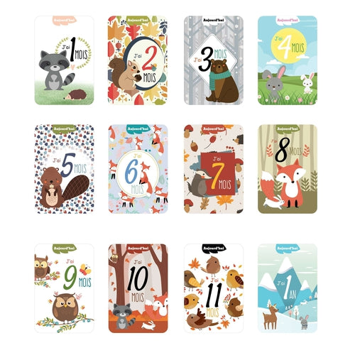 Carte Etape Bebe Animaux De La Foret Omade