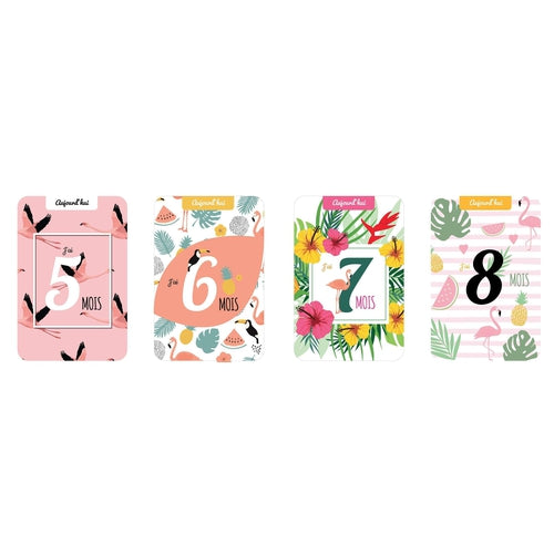 Idee Cadeau Naissance Original Carte Etape Bebe Tropical Flamant Rose Omade