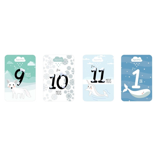 Cadeau De Naissance Original Cartes Etapes De Bebe Theme Banquise Omade