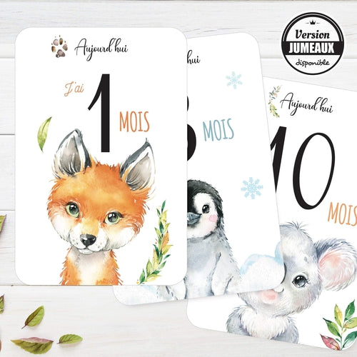 Cadeau De Naissance 12 Cartes Etapes Bebe Collection Animaux Omade