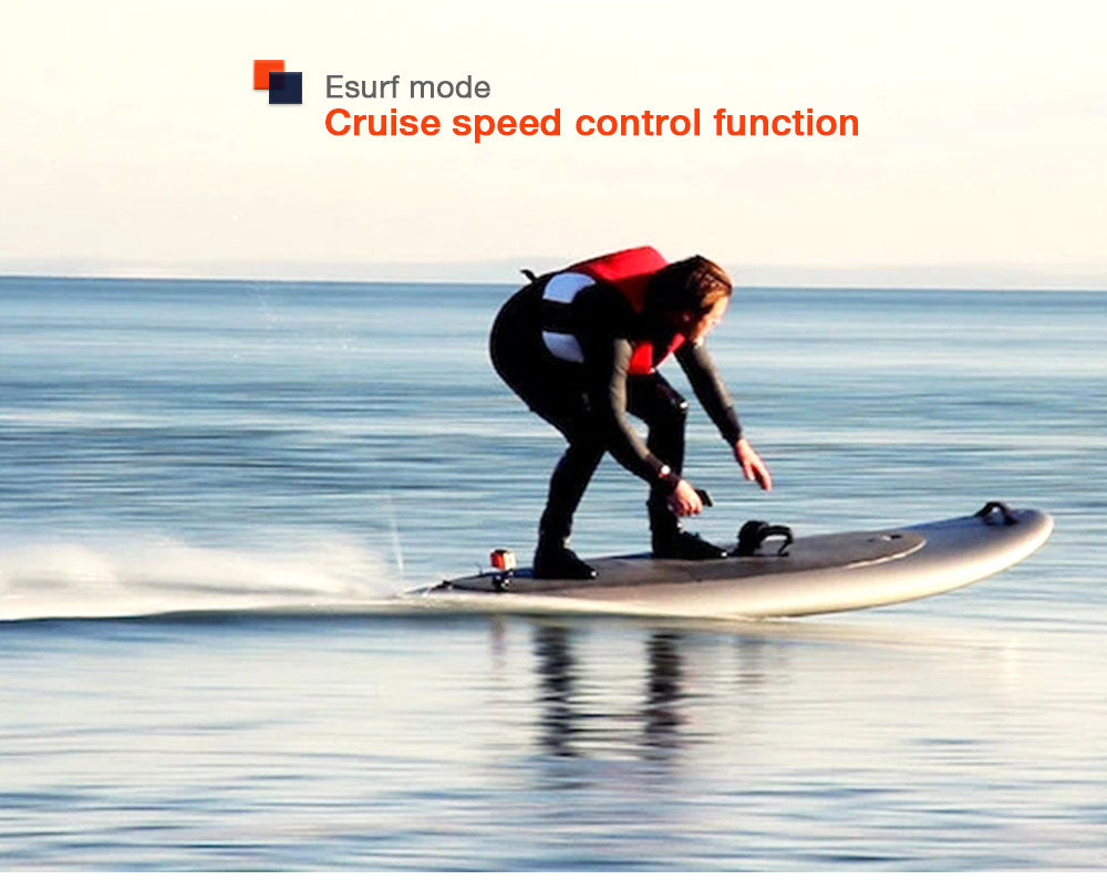 Fully waterproof remote for electric skateboard/longboard/robotics/walking robotics/airplane/Esk8/mountainboard/all terrain offroad skateboard/Esurf/Eskate/Efoil/Foilsurf/jetboard/jetski/hydrofoil