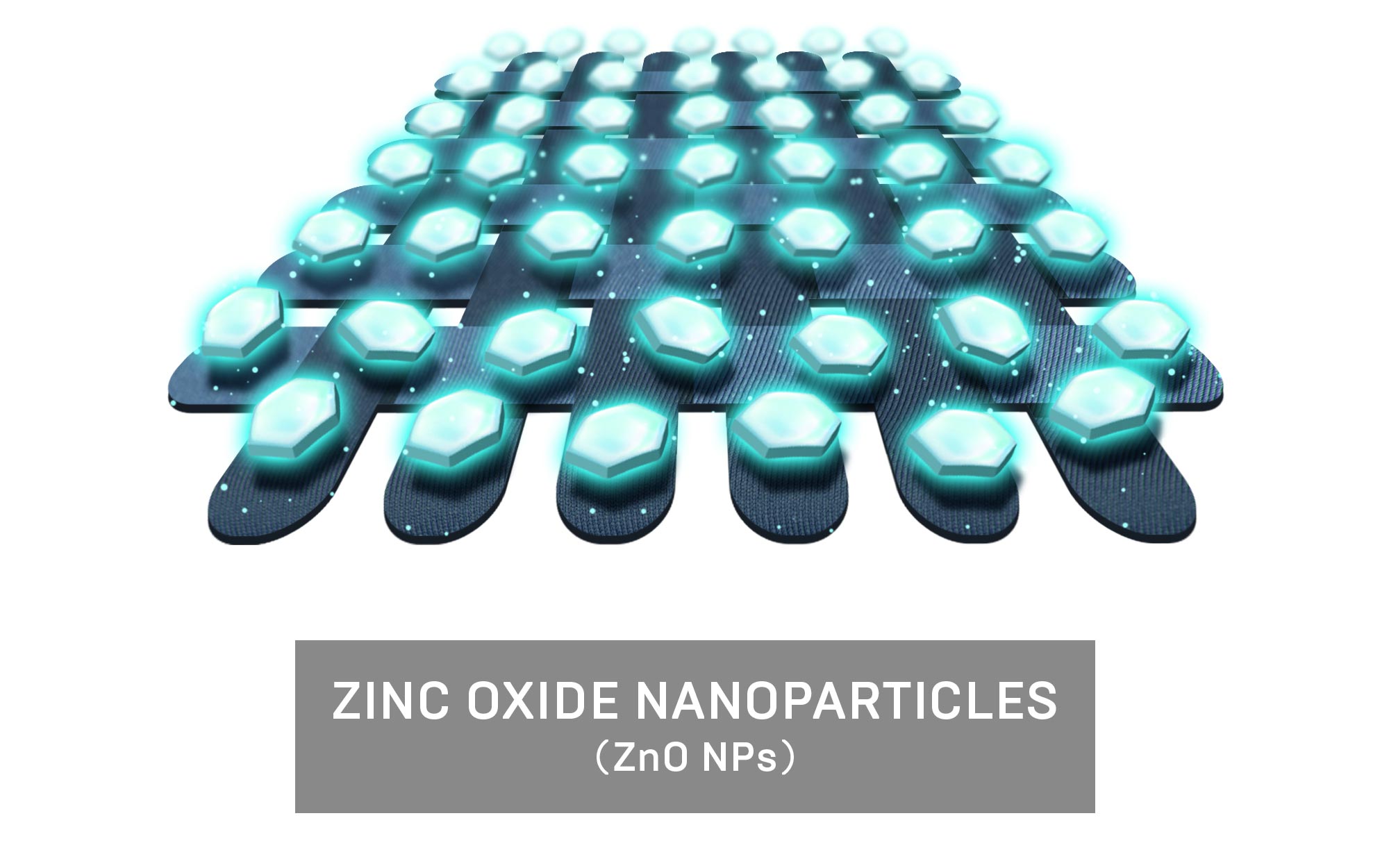 Zinc Oxide (ZnO) nanoparticles disrupt the bacterial cell membrane to down-regulate genes in bacteria.