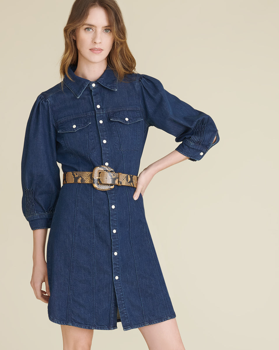 veronica beard denim dress