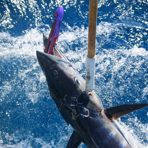 How to Fish for Wahoo Using Slow Trolling Speeds