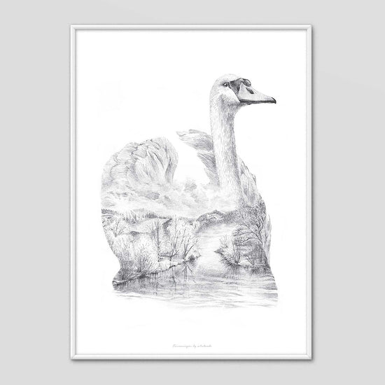 21,249 Swan Drawing Images, Stock Photos & Vectors | Shutterstock