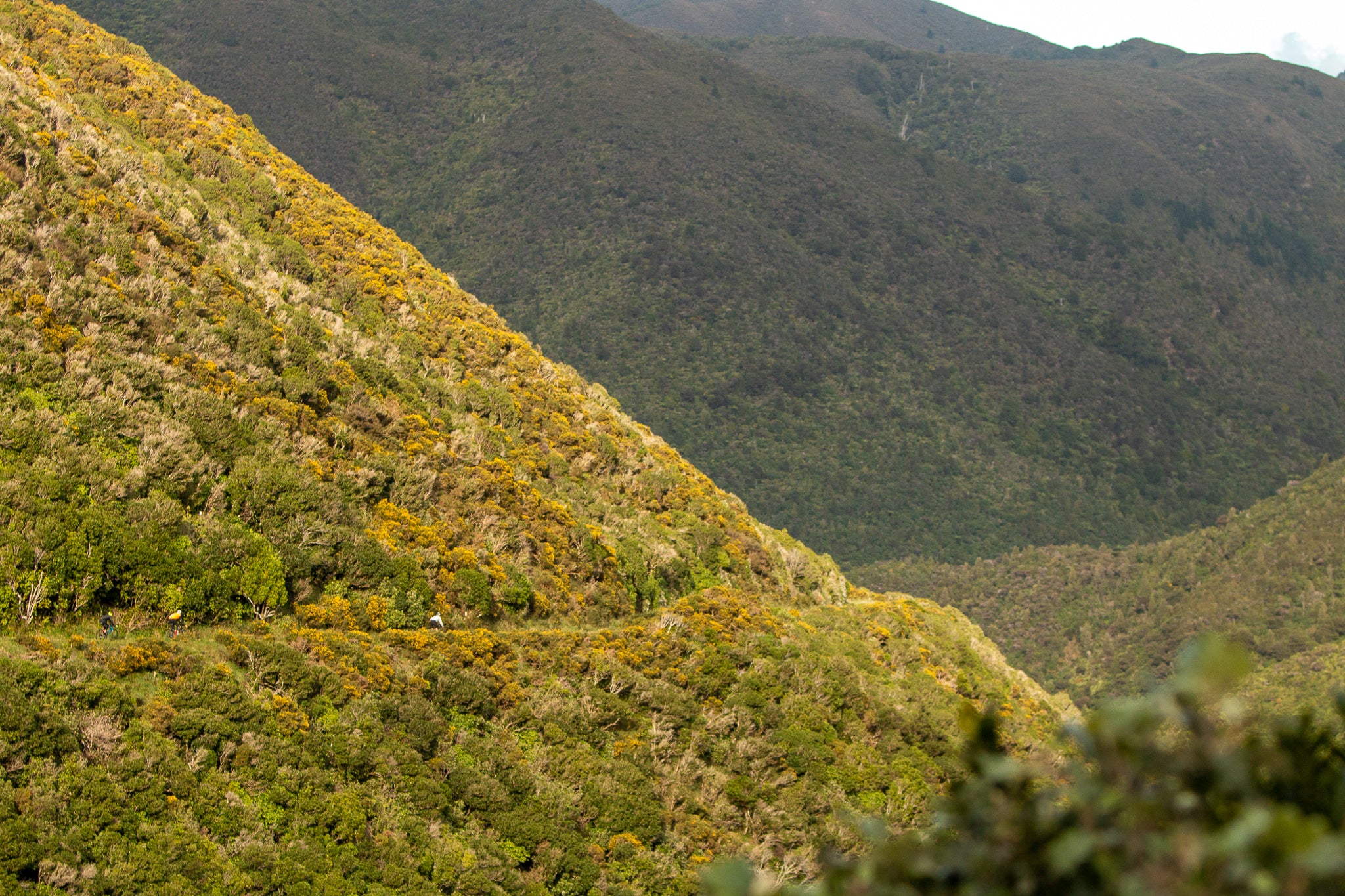 Rimutaka Rail Trail Gravel Ride 22/05/22