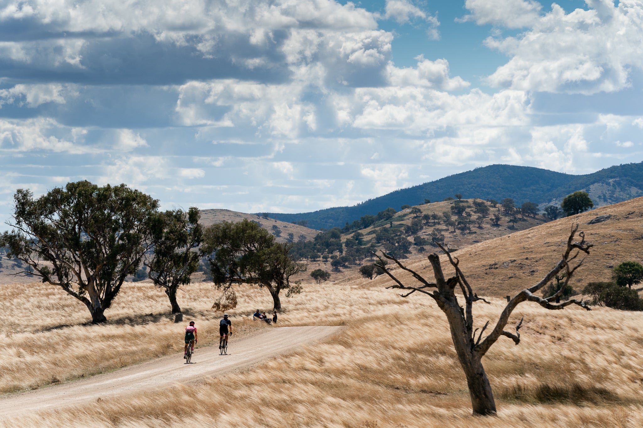 Rapha Ride Down Under