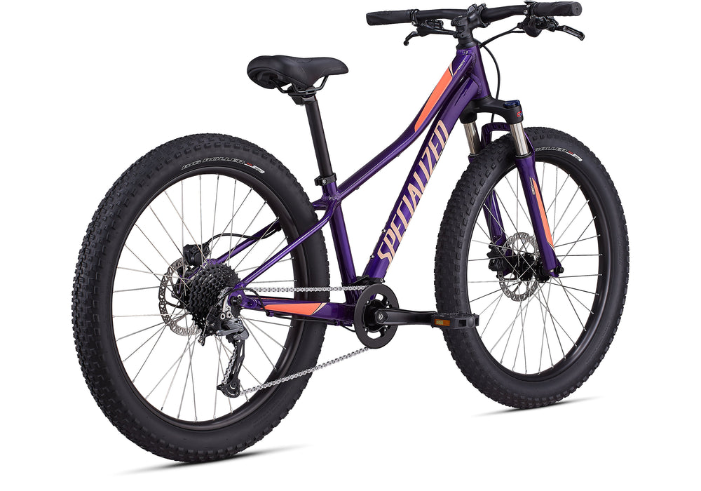 specialized rip rock 24