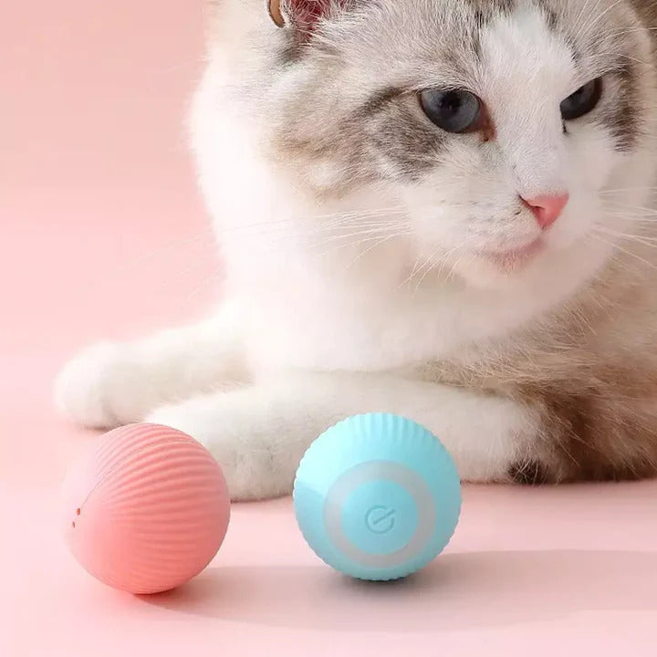 Miniature toy pet cat food and wet wipes —