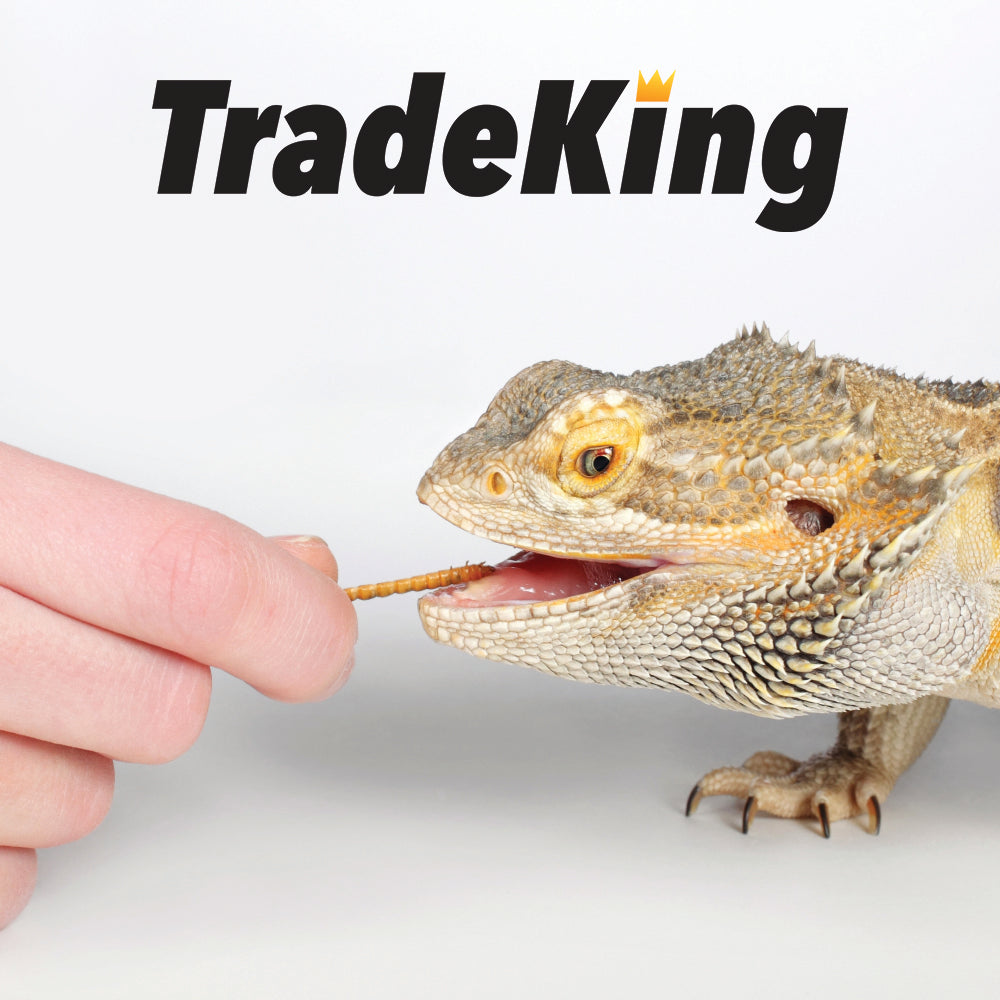 trade king mealworms