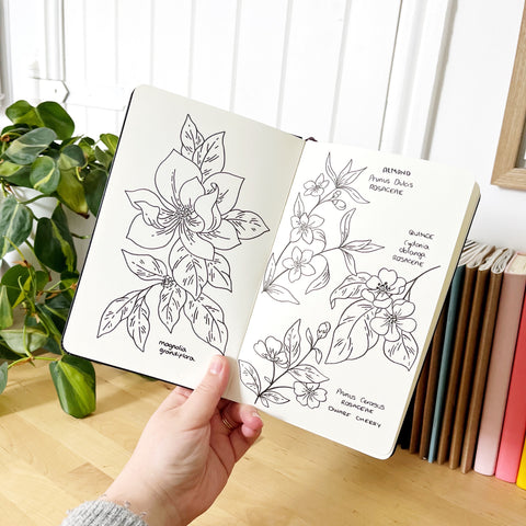 floral illustration guide