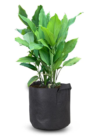 Fabric Grow Bag Make gardening easy . Plant in Fabric Grow Bags. Buy now buy best