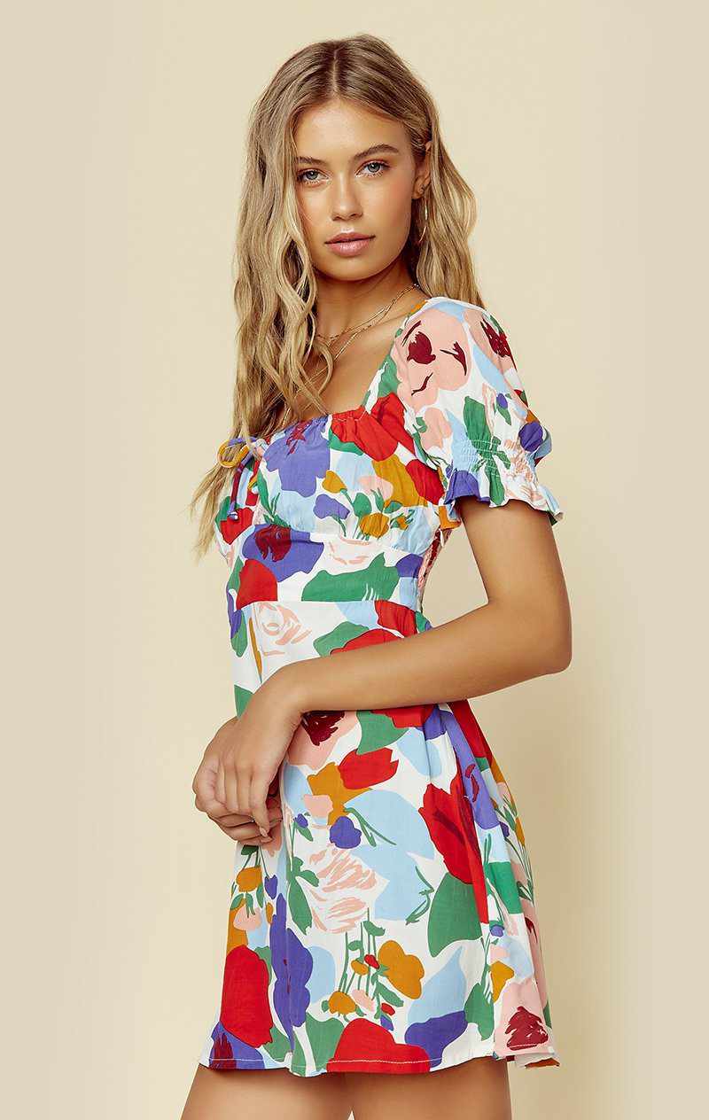 FAITHFULL THE BRAND IRIS MINI DRESS | New - ANITA FLORAL