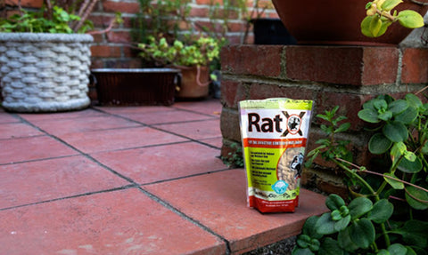 Non-Toxic Product: RatX