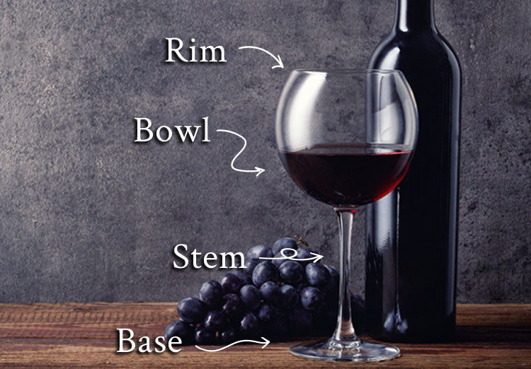 Wine Glass Anatomy