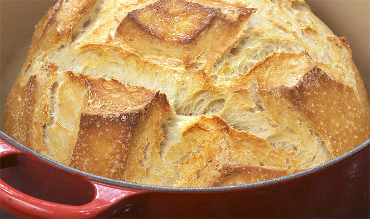 Dutch Oven Bread Recipe