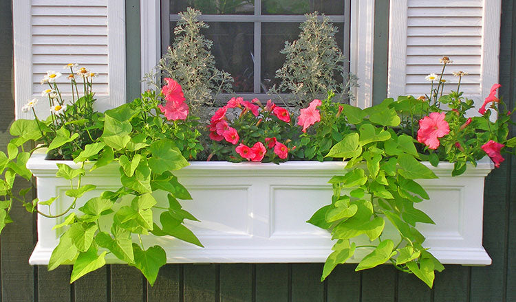 Add Window Boxes to Up Your Curb Appeal