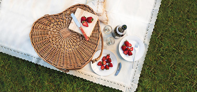 Easy to Eat Picnic Foods