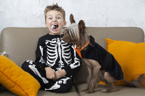 Boy and his dog wearing Halloween costumes