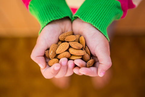 Kid's hands holding almonds