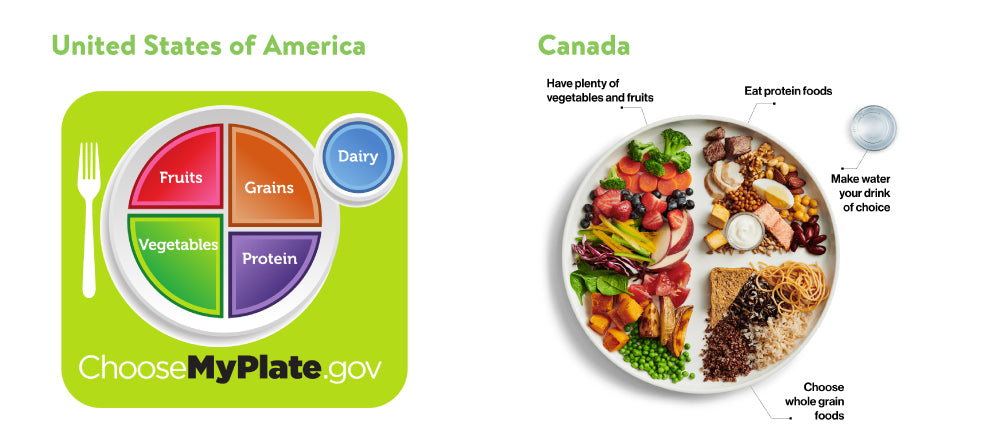Nutrition Guidelines for the US and Canada