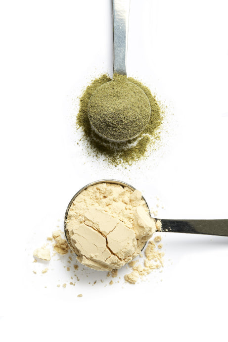 vegan protein powder