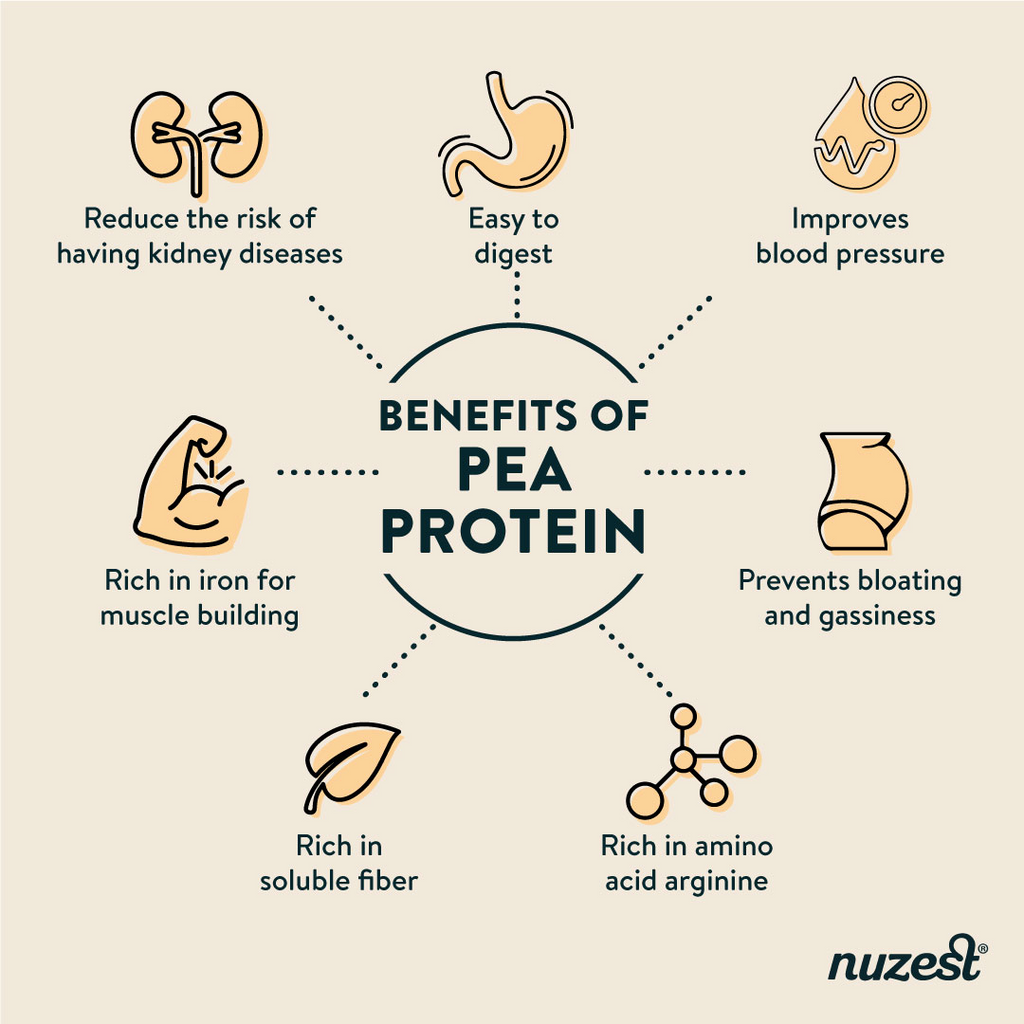 benefits of pea protein