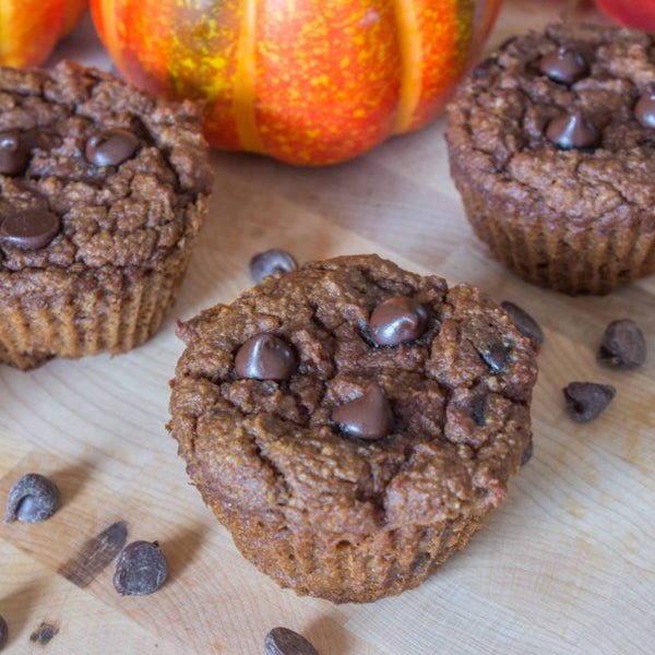 chocolate pumpkin protein muffins