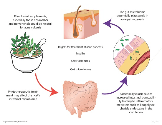 gut health and skin
