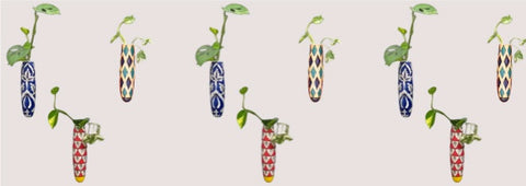 Magnetic planters with hydroponic plants