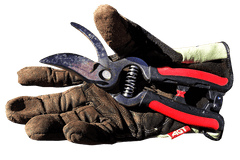 Pruning shears