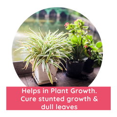 Helps to grow plants