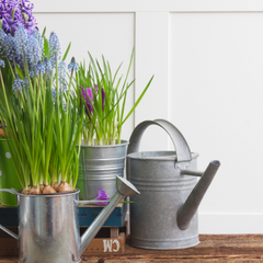 Watering can