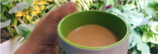 Coffee mug for plant lover