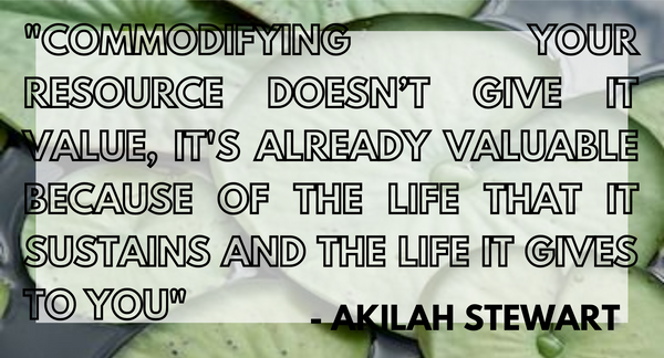 Quote from Akilah Stewart on appropriation and sustainability