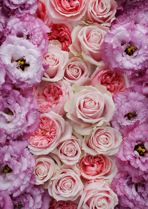 インテリア フォトパネル 薄紫色のトルコキキョウとピンクのバラのアレンジメント 木製パネル 額装写真通販のamana Online Store