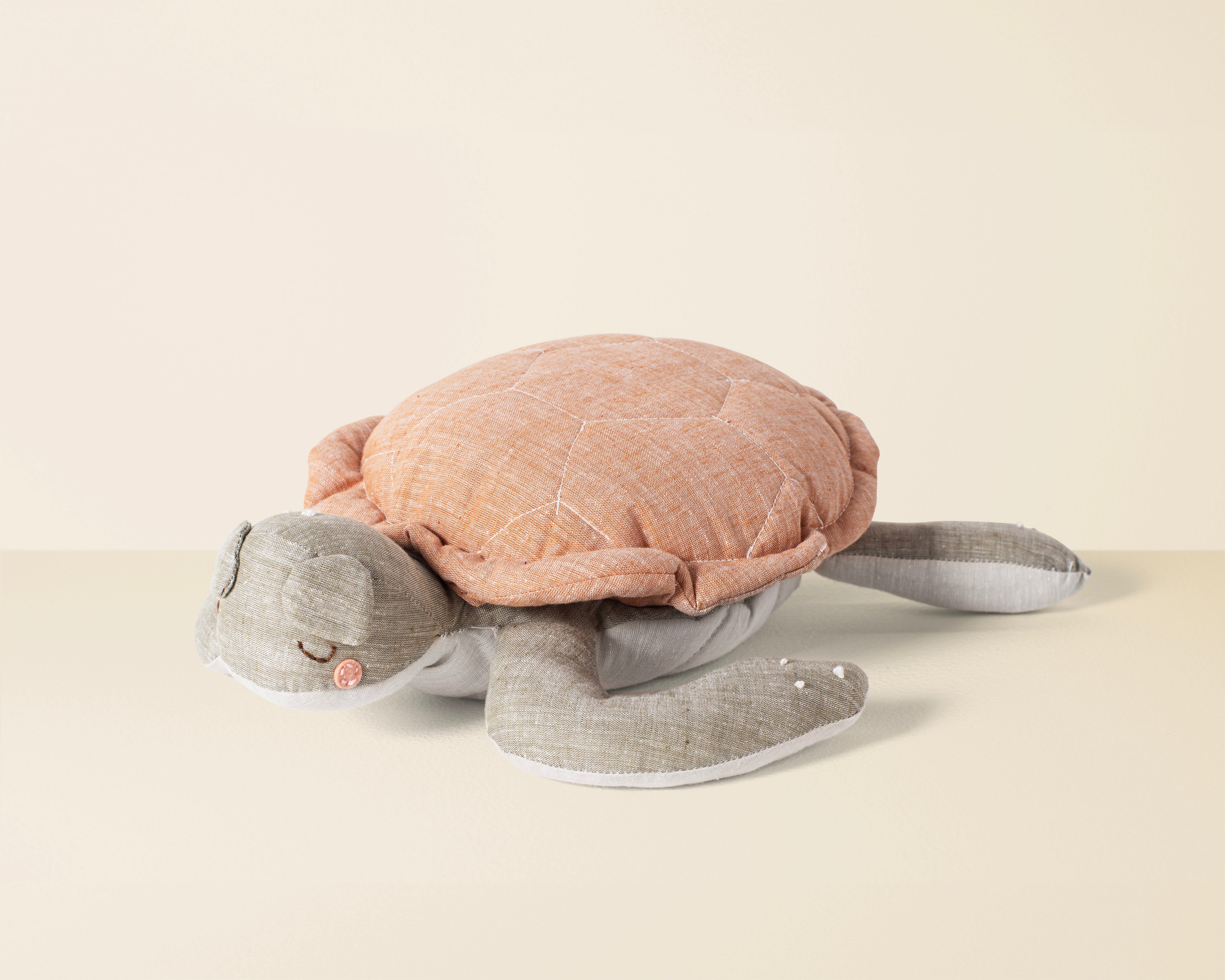 Frankie the Turtle
